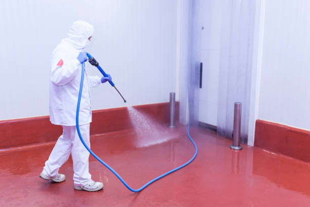 Best Spring Cleaning  in Scranton, PA